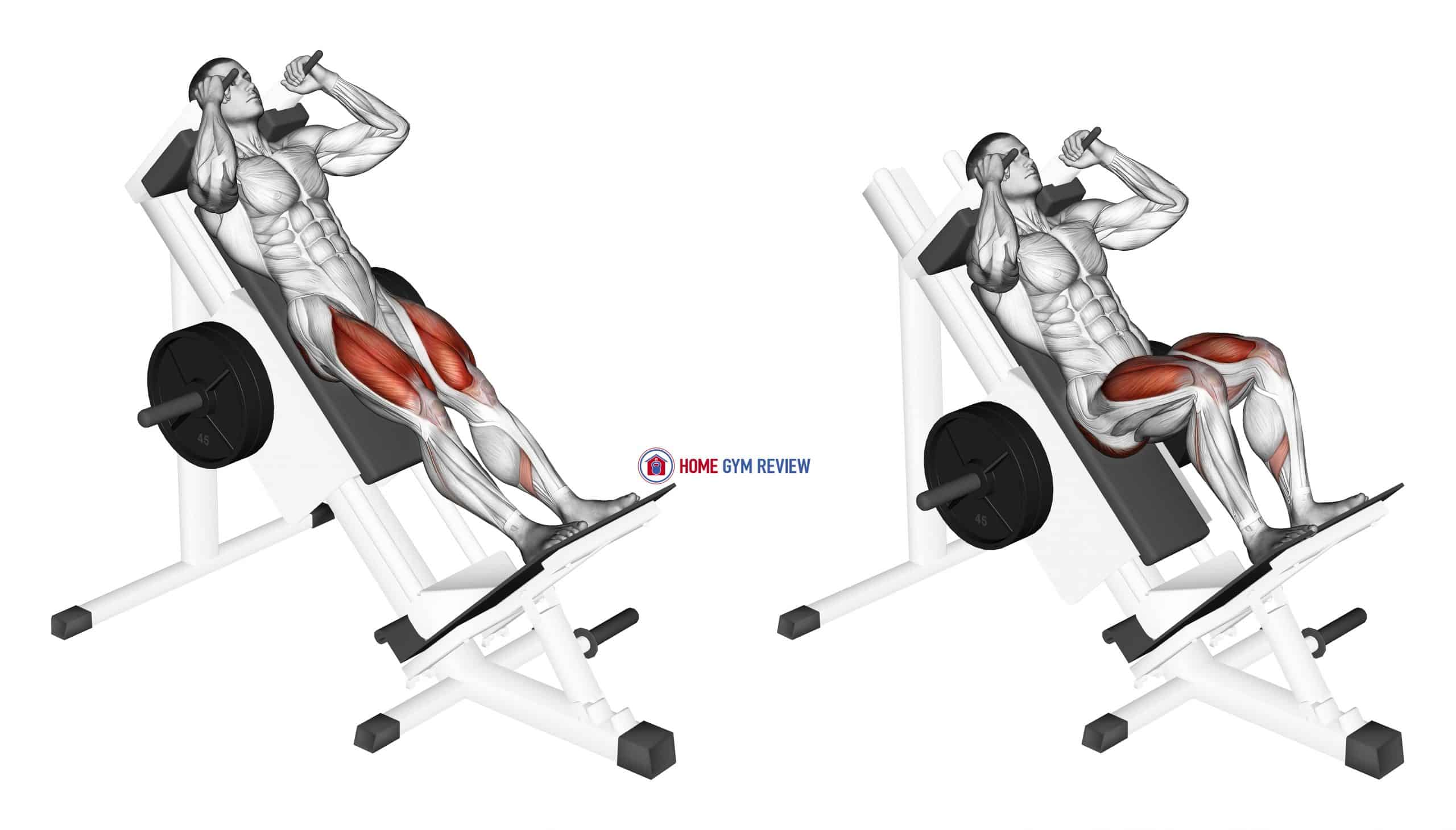 Figure 21: Sled Hack Squat